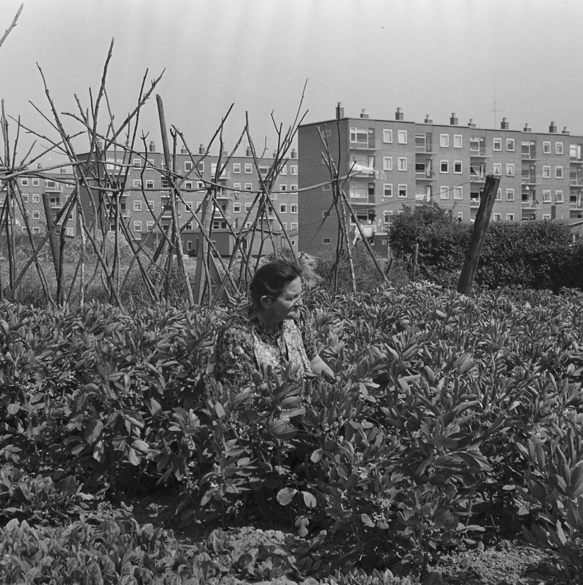Expositie ”Verhalen uit Dieze”, Stadkamer-Centrum