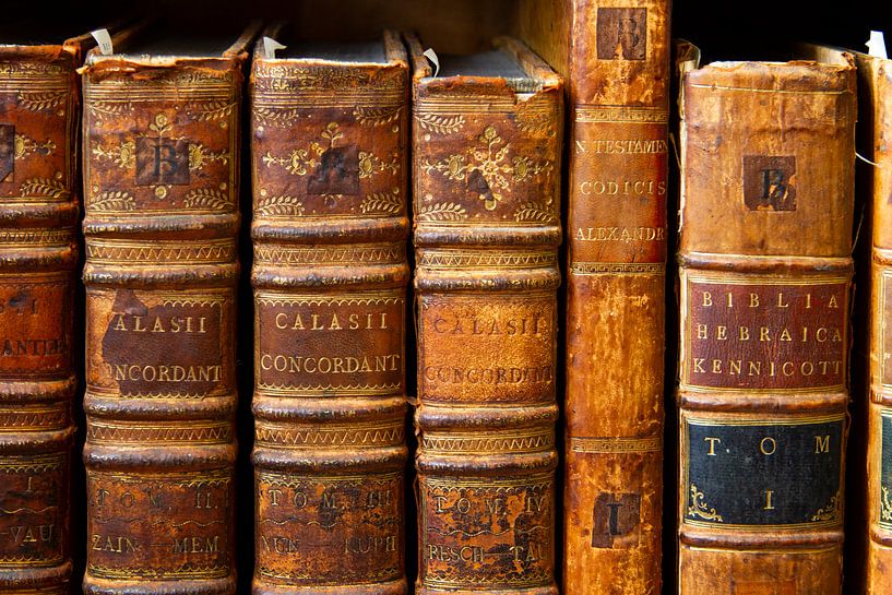 Erfgoedlezing 29 mei: ”een vondst van 700 bijzondere historische boeken